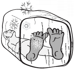 500 научных фактов, которые вас удивят - _08.png