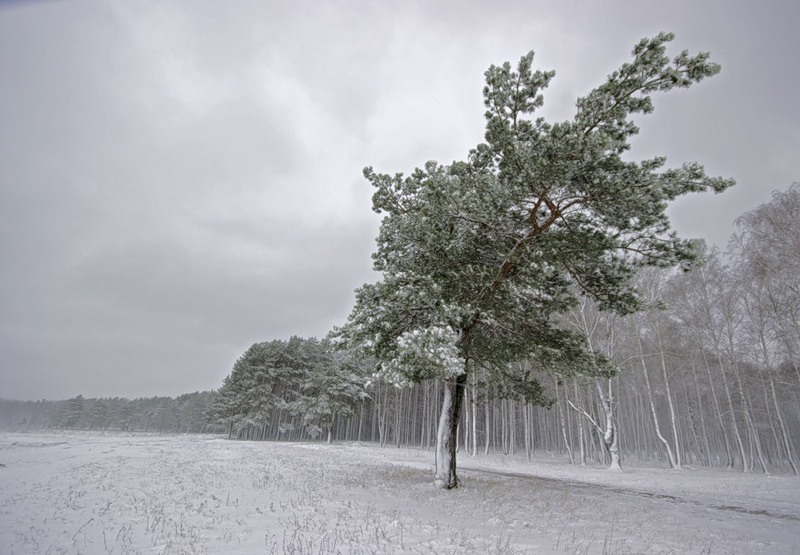 Основы безопасности жизнедеятельности. 7 класс - Metel01.jpg