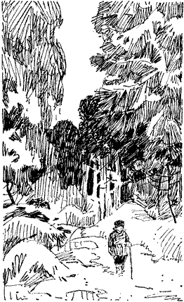 Мальчишки, мальчишки... - Untitled3.png