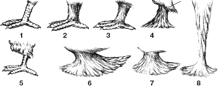 Все о голубях - i_012.png
