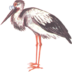 Путешествие в Жаркую страну - i_005.png