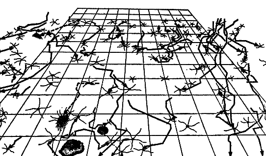 Дорогами подводных открытий - i_006.png