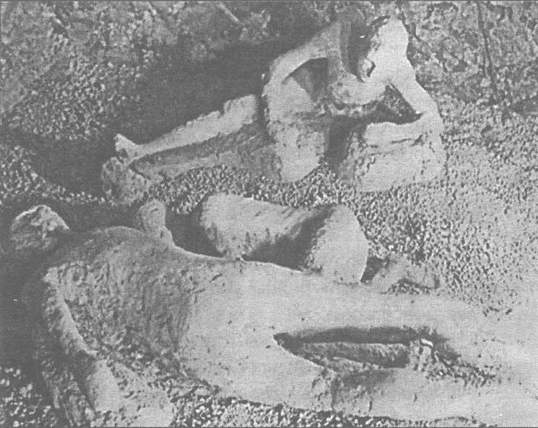 Этюды в багровых тонах: катастрофы и люди - i_003.jpg