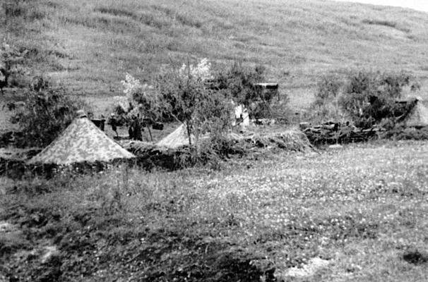 «Будь проклят Сталинград!» Вермахт в аду - img581.jpg