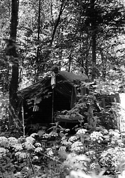 «Будь проклят Сталинград!» Вермахт в аду - img595.jpg