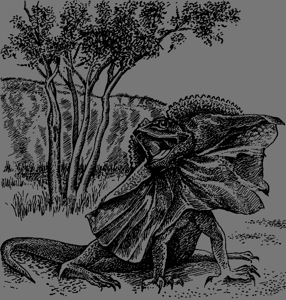 Полет бумеранга - any2fbimgloader0.png