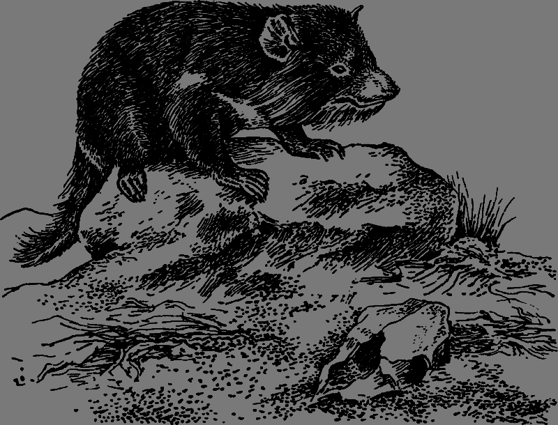 Полет бумеранга - any2fbimgloader5.png