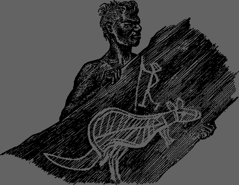 Полет бумеранга - any2fbimgloader9.png