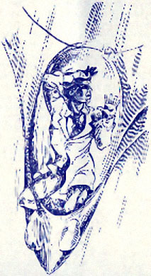 Тпру, бактерия! - cover.jpg