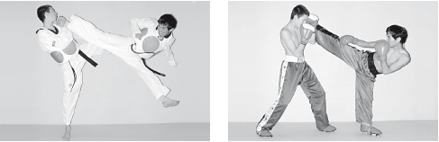 Русский рукопашный бой в 10 уроках - i_008.png