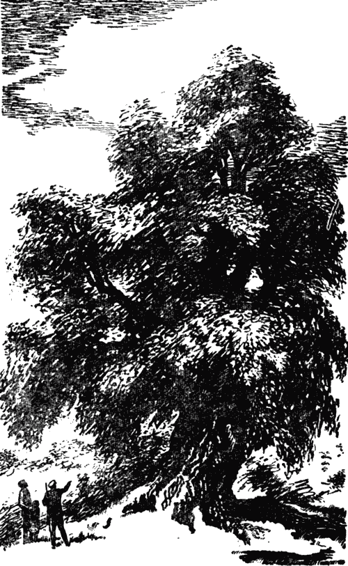 Высокая макуша. Степан Агапов. Оборванная песня - i_001.png