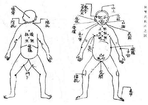 Aнатомия жизни и смерти. Жизненно важные точки на теле человека - _193.jpg