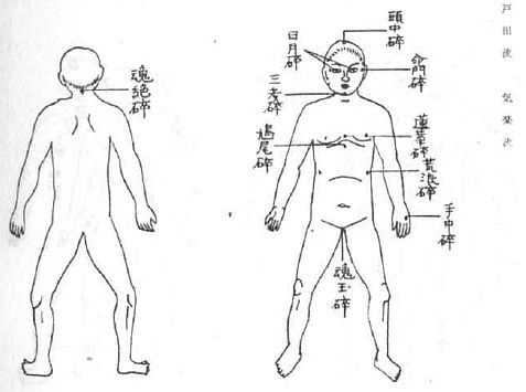 Aнатомия жизни и смерти. Жизненно важные точки на теле человека - _200.jpg