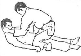 Aнатомия жизни и смерти. Жизненно важные точки на теле человека - _233.jpg