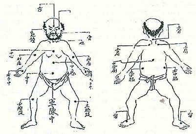 Aнатомия жизни и смерти. Жизненно важные точки на теле человека - _4.jpg