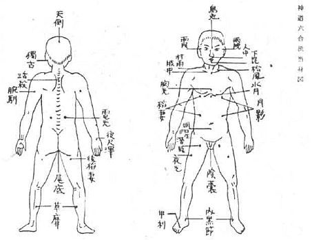 Aнатомия жизни и смерти. Жизненно важные точки на теле человека - _202.jpg