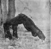 В гармонии со вселенной - i_122.jpg