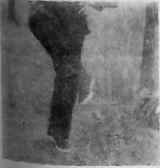 В гармонии со вселенной - i_124.jpg