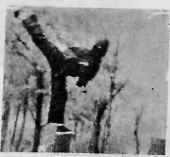 В гармонии со вселенной - i_133.jpg