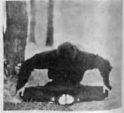 В гармонии со вселенной - i_135.jpg