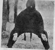 В гармонии со вселенной - i_138.jpg