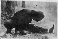 В гармонии со вселенной - i_141.jpg