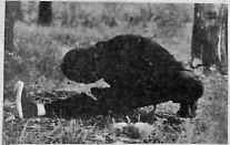 В гармонии со вселенной - i_142.jpg