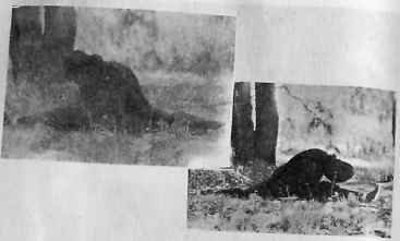 В гармонии со вселенной - i_143.jpg