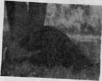 В гармонии со вселенной - i_144.jpg