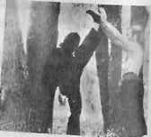 В гармонии со вселенной - i_145.jpg