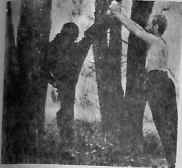 В гармонии со вселенной - i_146.jpg