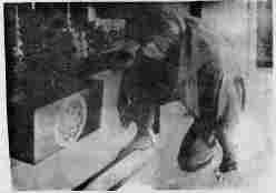 Рожденные во тьме - i_014.jpg