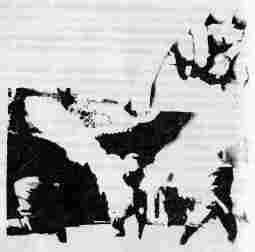 Рожденные во тьме - i_042.jpg