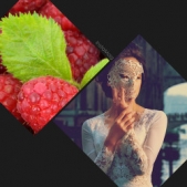 Дани (СИ) - автор 