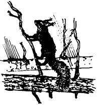 Бажоный - i_012.png