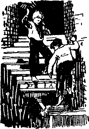 Петька Дёров(изд.1959) - i_005.png