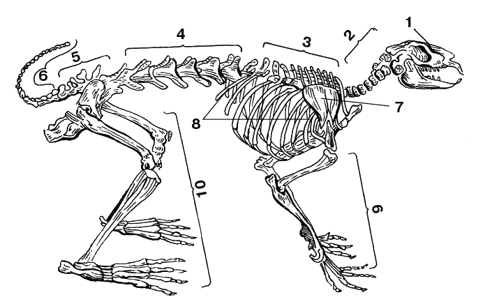 Кролики: Разведение, выращивание, кормление - _016.png