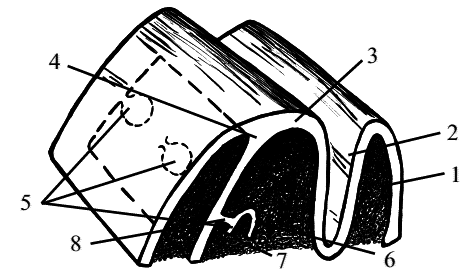 Стоматология собак - pic6.png