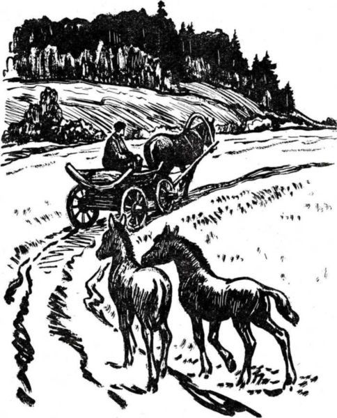 Латуня - i_004.jpg