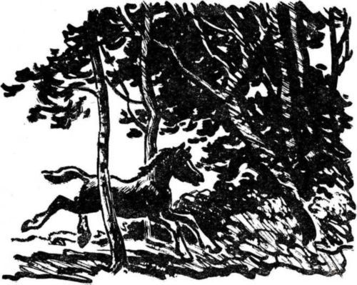 Латуня - i_006.jpg