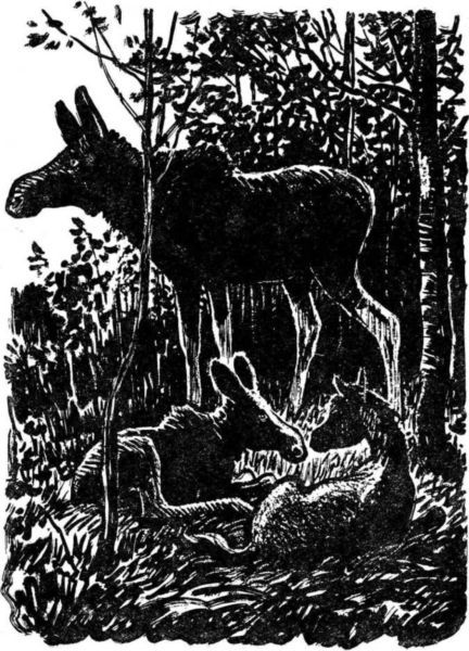 Латуня - i_009.jpg