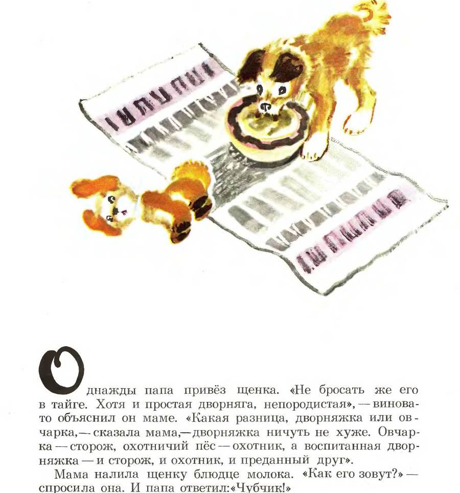 Лесные дети - _13.jpg