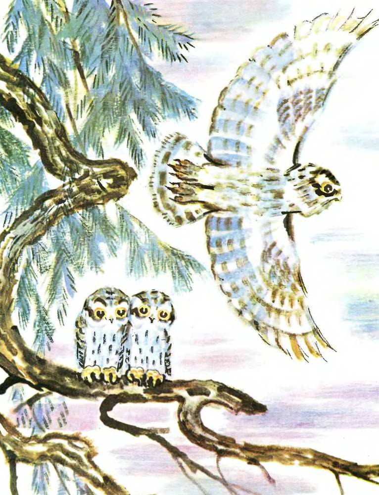 Лесные дети - _8.jpg