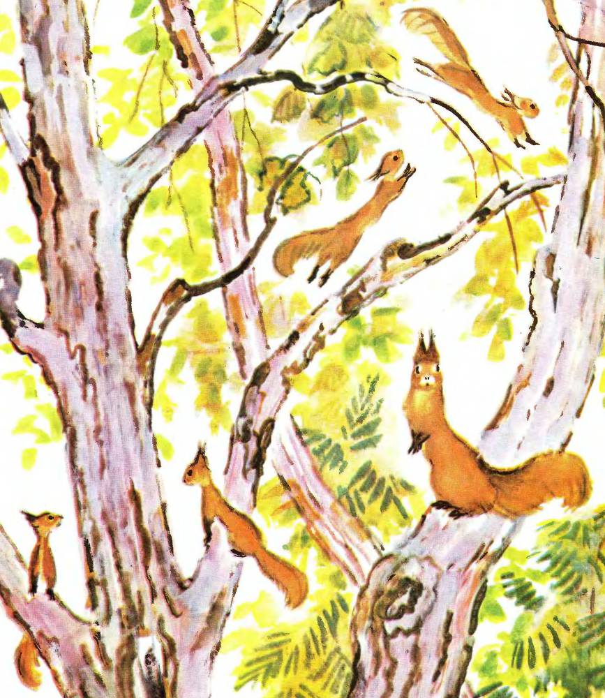 Лесные дети - _12.jpg