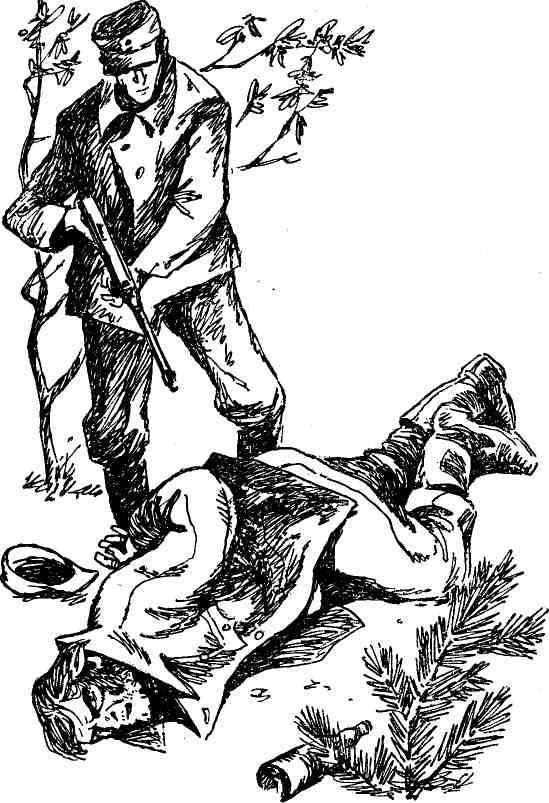 Чайки возвращаются к берегу. Книга 1 — Янтарное море - img_2.jpeg