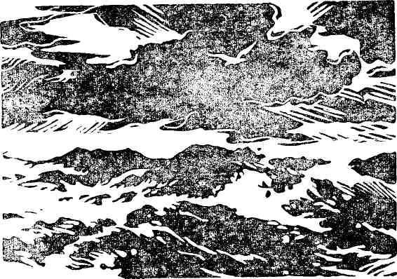 Янтарное море - img_3.jpeg