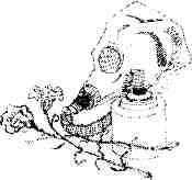 Записки орангутолога - img_10.jpeg