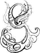 Записки орангутолога - img_14.jpeg