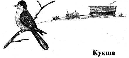 Люди, звери и зоологи (Записки на полях дневника) - _10.jpg