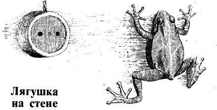 Люди, звери и зоологи (Записки на полях дневника) - _23.jpg